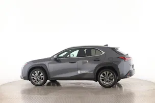 Lexus UX 300h F-Line