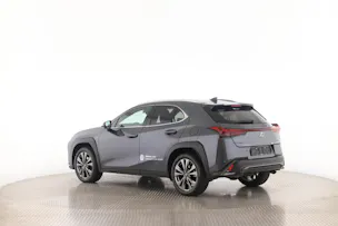 Lexus UX 300h F-Line