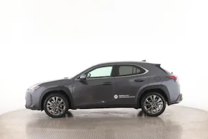 Lexus UX 300h F-Line