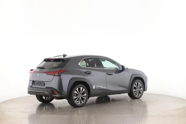 Lexus UX 300h F-Line