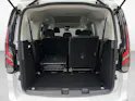 FORD Tourneo Grand Connect 2.0 EcoBlue 122 Active 4x4