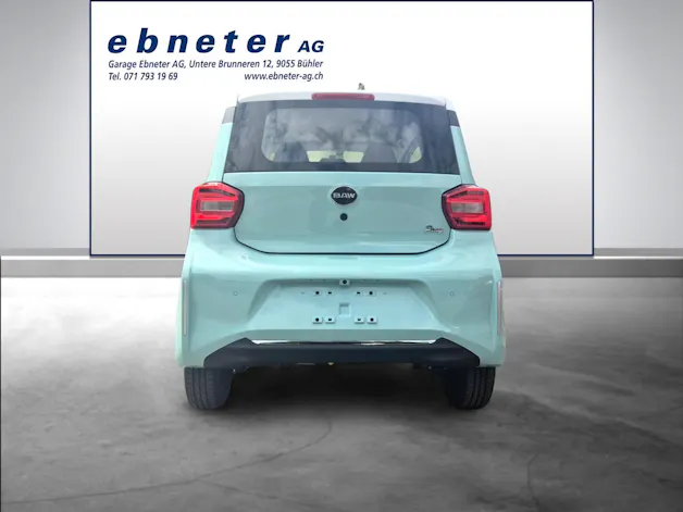 BAW Pony Electric