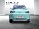 BAW Pony Electric