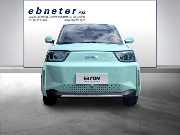 BAW Pony Electric