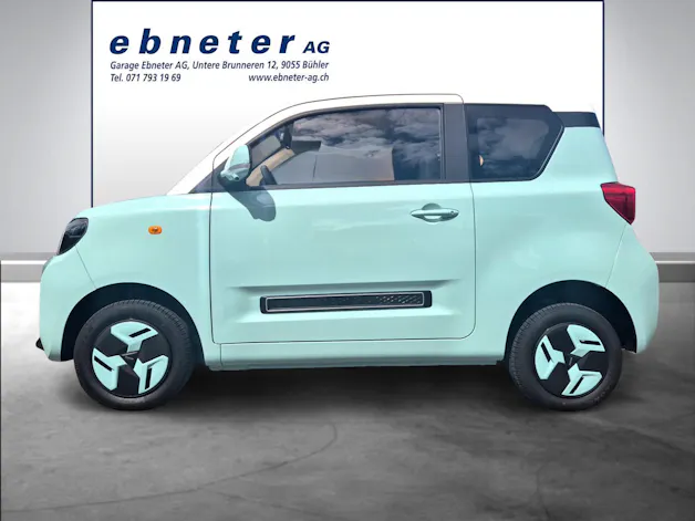 BAW Pony Electric