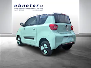BAW Pony Electric