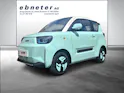 BAW Pony Electric