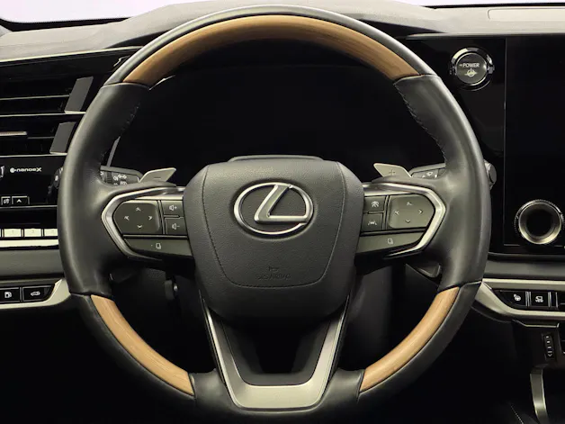 Lexus RX 450h+ Excellence