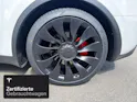 Tesla Model Y Performance