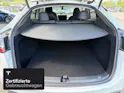 Tesla Model Y Performance