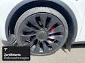 Tesla Model Y Performance