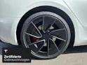 Tesla Model 3 Performance