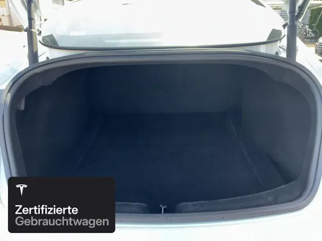Tesla Model 3 Performance