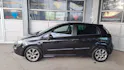 Fiat Punto Evo 1.4 16V Sporting