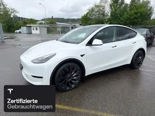 Tesla Model Y Performance