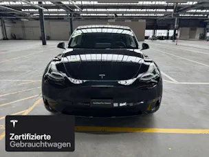 Tesla Model Y Performance