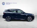 BMW X1 25e xDrive paddles
