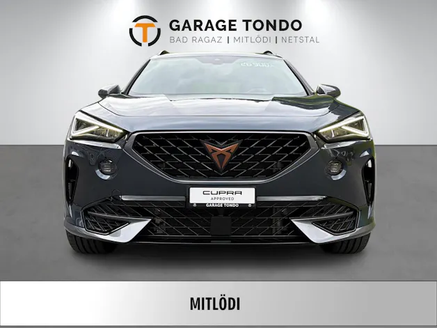 Cupra Formentor 2.0 TSI 4Drive DSG