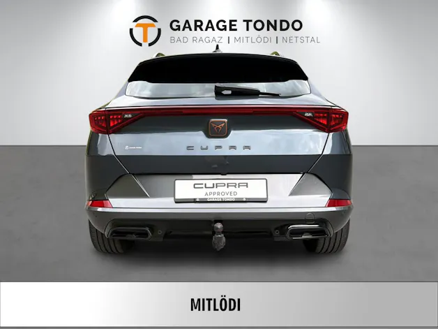 Cupra Formentor 2.0 TSI 4Drive DSG