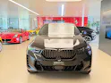 BMW X6 xDrive 48V 30d M Sport Steptronic