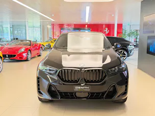 BMW X6 xDrive 48V 30d M Sport Steptronic