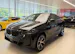 BMW X6 xDrive 48V 30d M Sport Steptronic