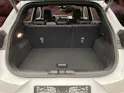 Ford Puma 1.0 EcoB Hybrid 125 ST-Line X