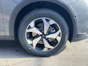 Ford Tourneo Grand Connect 1.5 EcoBoost 150 Active PHEV