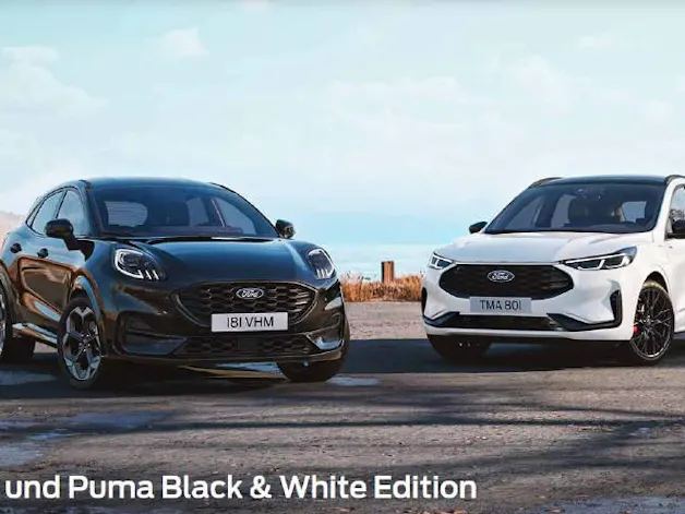 Ford Kuga 2.5 Hybrid ST-Line X 4x4¨- White Edition