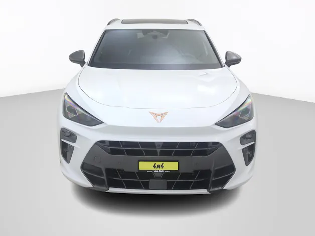 Cupra Terramar 2.0 TSI 4Drive DSG