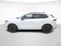 Cupra Terramar 2.0 TSI 4Drive DSG