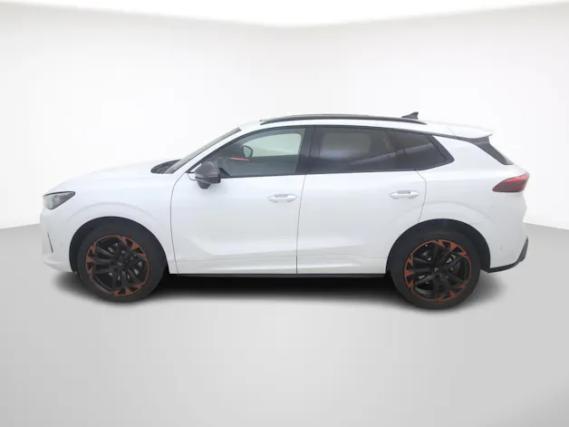 Cupra Terramar 2.0 TSI 4Drive DSG