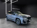 BMW X1 30e xDrive paddles