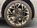 Cupra Terramar 2.0 TSI VZ 4Drive DSG