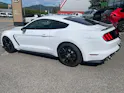 Ford Shelby GT350 Recaro