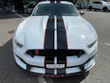 Ford Shelby GT350 Recaro