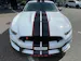 Ford Shelby GT350 Recaro