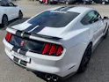 Ford Shelby GT350 Recaro