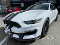 Ford Shelby GT350 Recaro
