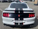 Ford Shelby GT350 Recaro