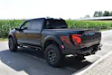 FORD F150 Raptor R