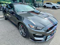 Ford Shelby GT350 Recaro