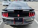 Ford Shelby GT350 Recaro