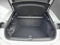 Cupra Terramar 2.0 TSI Prime Edition 4Drive DSG