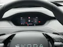 Škoda Enyaq 4x4 RS