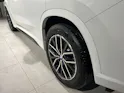 BMW X1 xDrive 20d 48V M Sport