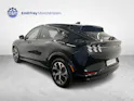Ford Mustang Mach-E Standard AWD