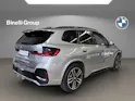 BMW X1 30e xDrive paddles