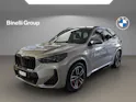 BMW X1 30e xDrive paddles