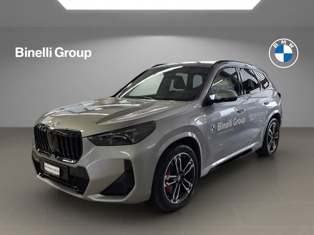 BMW X1 30e xDrive paddles